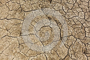 Cracked dry earth with cracks texture