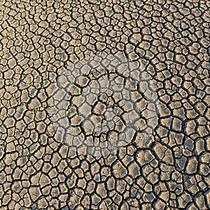 Cracked, dry earth forms an intricate pattern of irregular shapes. The surface texture