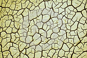 Cracked dry earth texture