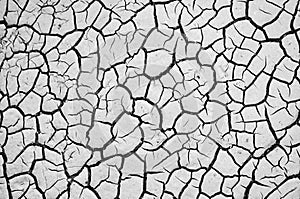 Cracked dry earth texture