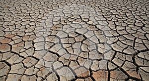 Cracked Dry Earth Texture Background Arid Land Surface