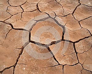 Cracked dry earth texture