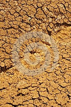 Cracked dry ground texture