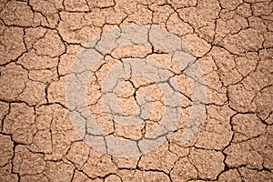 Cracked dry ground texture