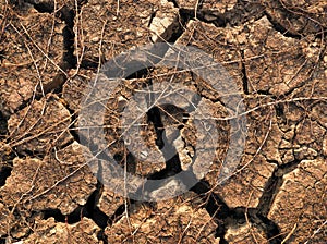 A cracked dry ground texture and background.