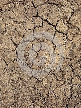 Cracked dry ground texture. Cracked dry soil background. Dry land with cracks. Brown rough surface of the soil during the summer