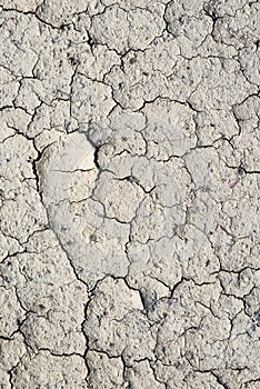 Cracked dry land