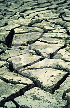 Cracked dry land soil