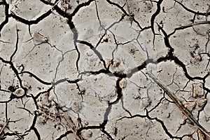 Cracked Dry Land Texture