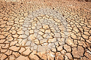 Cracked dry land without water