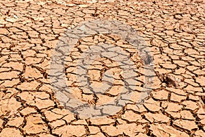 Cracked dry land without water