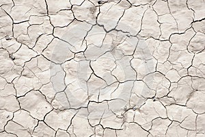 Cracked dry lifeless earth