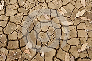 Cracked dry mud detail