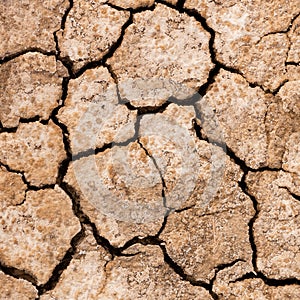 Cracked dry mud drought concept nature background
