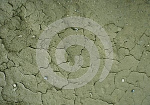 Cracked dry mud earth background texture