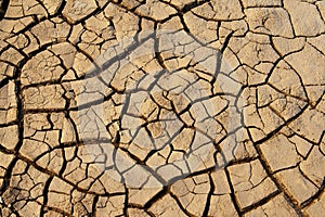 Cracked dry mud