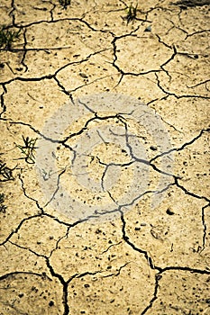 Cracked dry sandy soil
