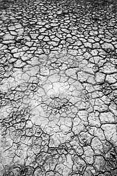 Cracked dry silt