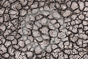Cracked dry soil,