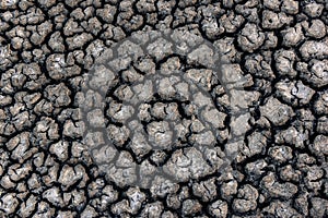 Cracked dry soil,