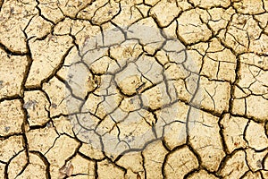 Cracked dry soil after disaster