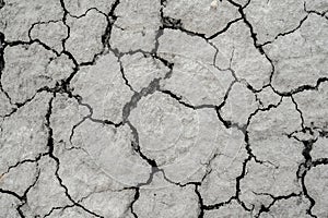 Cracked dry soil. Dry gray clay soil.