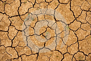 Cracked dry soil. Dry yellow clay soil.