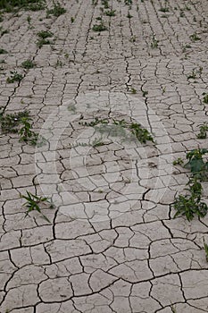 Structure of the dry field, Slovkia