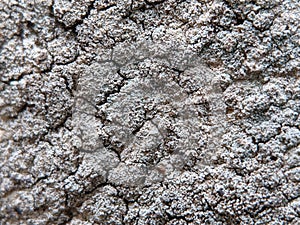 Cracked dry soil texture background, close up
