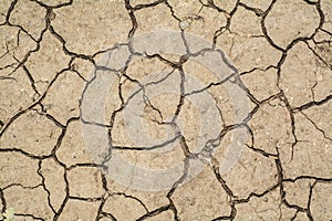 Cracked dry soil