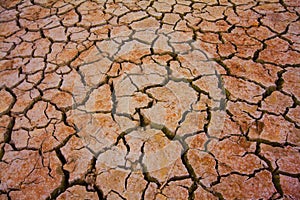 Cracked earth