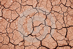Cracked Earth