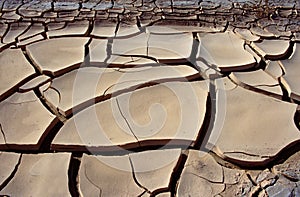 Cracked earth