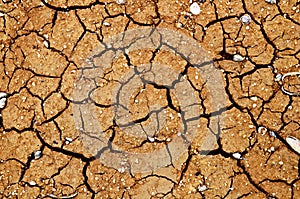 Cracked earth.