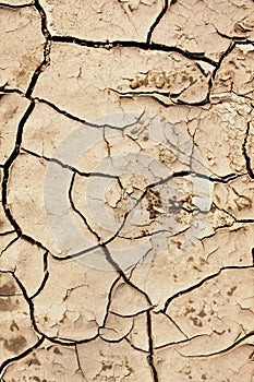 Cracked earth