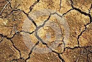 Cracked Earth