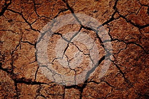 Cracked Earth