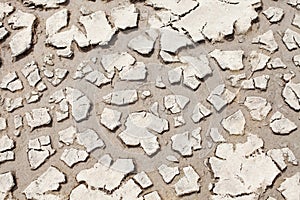 Cracked Earth