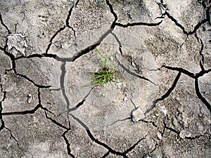 Cracked earth