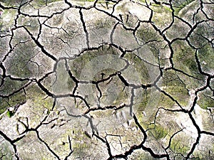 Cracked earth