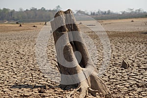 Cracked earth from arid drought weather in dam or river. , surface clay soil rough crack pattern texture background, desert broken