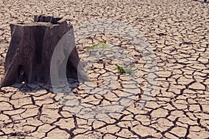 Cracked earth from arid drought weather in dam or river. , surface clay soil rough crack pattern texture background, desert broken