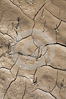 Cracked earth background