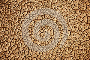 Cracked earth background