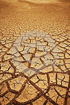 Cracked earth background