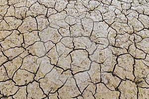 Cracked earth background texture