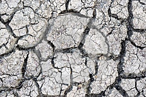Cracked earth background texture.
