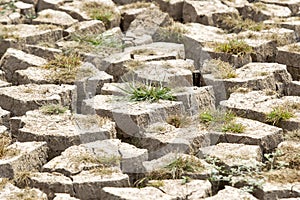 Cracked earth and barren