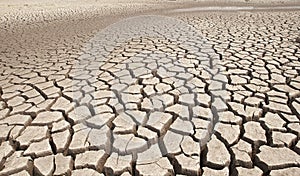 Cracked earth and barren