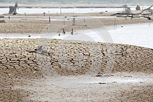 Cracked earth and barren